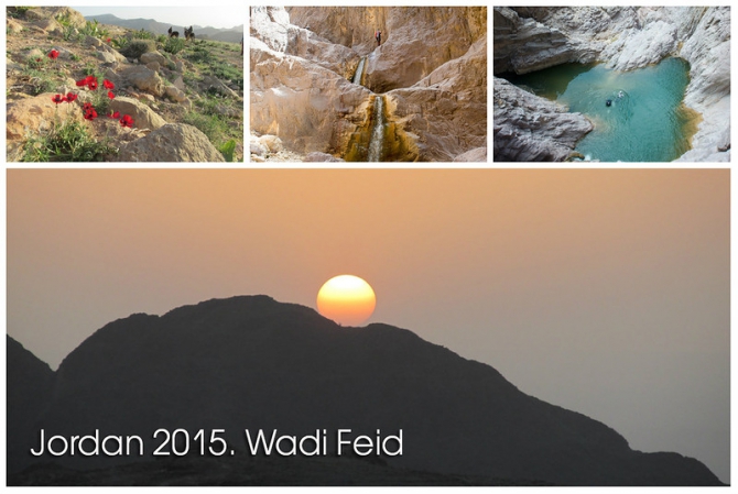      2015.. Wadi Feid.     ( )