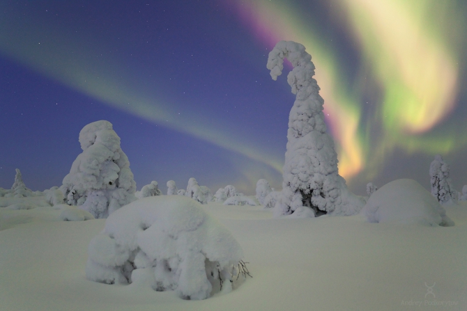   (, , ,  ,  , aurora, aurora borealis, borealis, finland)