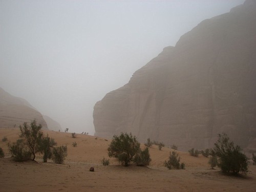 Слухи о дожде в пустыне (Альпинизм, отчет о путешествии, скалолазание, альпинизм, иордания, вади рам)