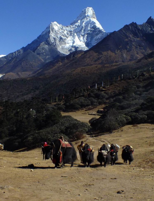 Сагарматха. Перевернутый мир. (Горный туризм, трек в непале, туры в непал, эверест)