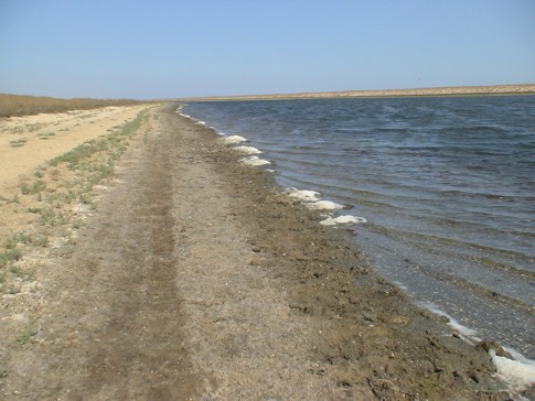 Арабатское сафари - или вело–песочный поход по берегам Азовского моря. (севастополь, содружество)