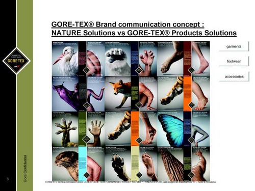 Обещанное: Презентация Gore-Tex проведенная на августовском семинаре фирмы Red Fox (петербург)