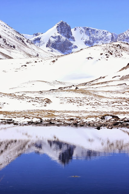 Отчет о поездке в Мерке, Южный Казахстан (Бэккантри/Фрирайд, альпинизм, путешествия)