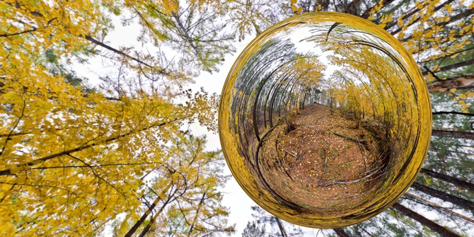 Осенний лес. о. Ольхон (Путешествия, olhon, байкал, панорама, виртуальный тур, panorama, baikal360, virtual tour, baikal, байкал360, панорамный мир)