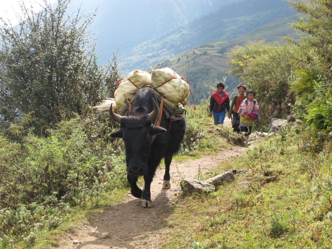 Нумбур Чиз Трек. Непал. Отчёт о прохождении. (Горный туризм, гималаи)