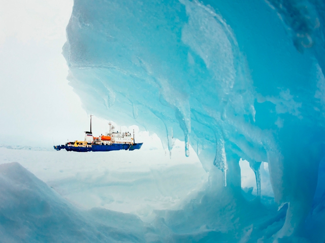 В антарктических льдах застряло российское круизное судно "Академик Шокальский"