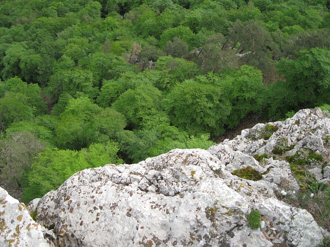 Крым. Июнь 2011. (Горный туризм, горный туризм)