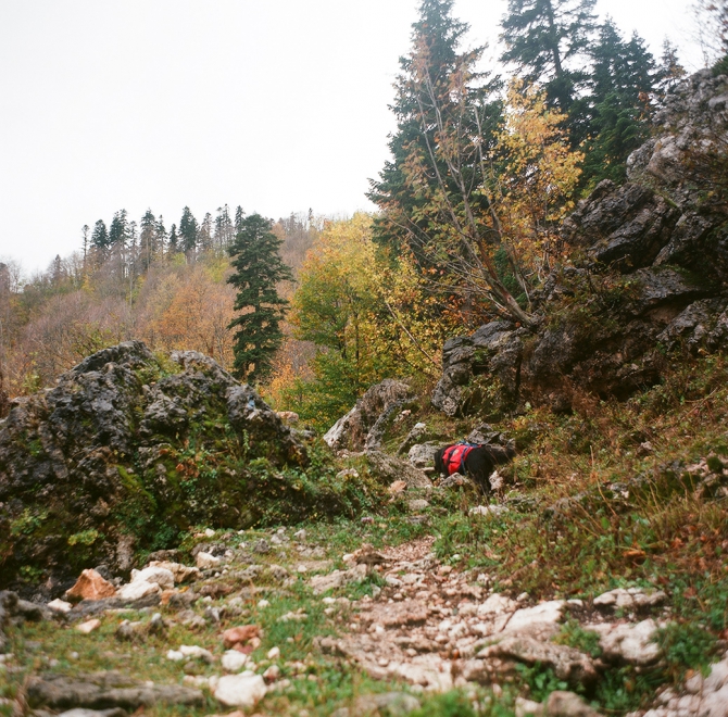 Тоже осень в горах (фишт, кавказ, фото, лаго-наки)