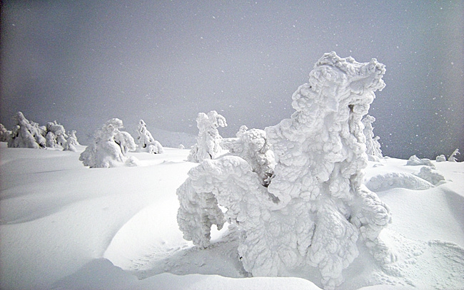 Снежные карпаты (Горный туризм, черногорский хребет)