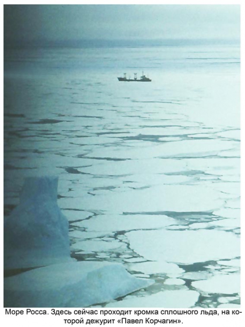 Антарктида - часть 5. Дрейф во льдах моря Росса. (Путешествия, станция ленинградская, "михаил сомов", антарктическая экспедиция, антарктика)