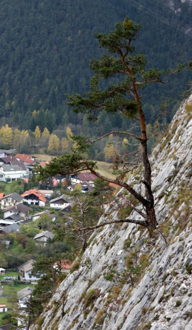 Нассерайт, вторая часть курса