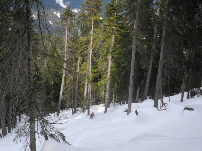 Командировка в Архыз: автомобиль, ски-тур, хели-ски и собака-белый медведь. (бэккантри, ски-альпинизм)