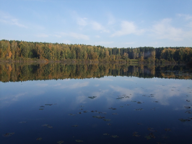 Живопись Сентября (озеро, сентябрь, осень, пейзаж)