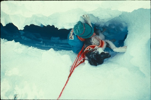 "Так замерзают настоящие мужчины!" (лыжи, полюс, север, bask, баск)