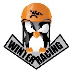 Анонс Зимний Фестиваль Приключенческих Гонок «Winter Racing – BASK» 2008 (Снегоступинг, мультигонки, мультиспорт, приключенческие гонки)