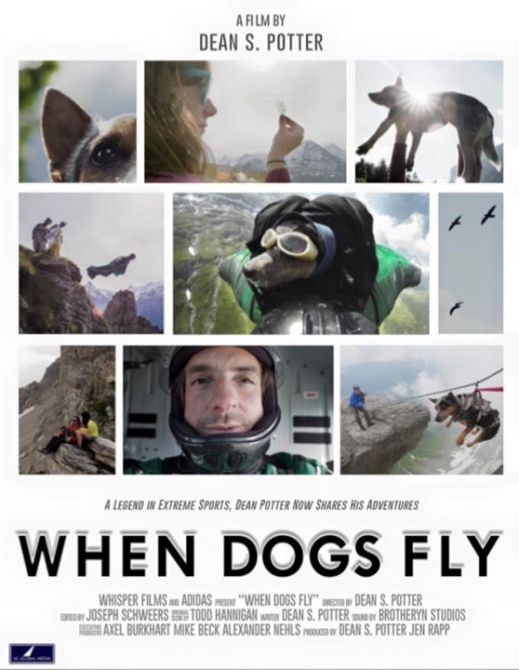 Когда собаки летают (BASE, дин поттер, летающая собака, base, вингсьют, кино, крутые, они это могут, воздух, небо)