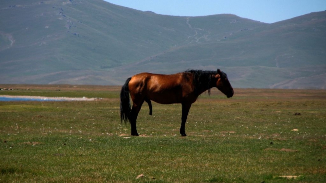 2000 км по горам Кыргызстана. Часть 2 (Воздух, фото, парапланы)