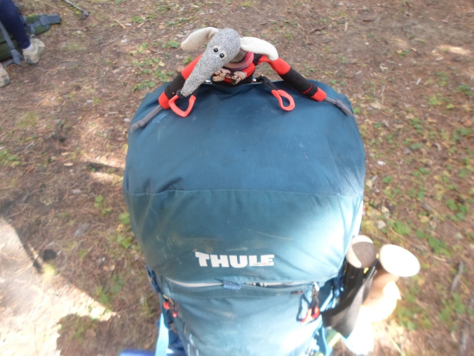 Отчет о тестировании рюкзака Thule Guidepost (Горный туризм, аукцион снаряжения, снаряжение, походные рюкзаки, алтай, поход)