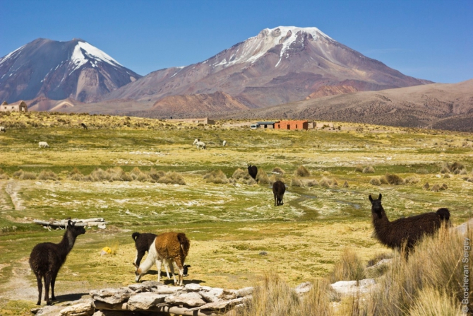 Восхождение на вулкан Сахама (6542 м), Боливия. Описание и отчет. (Альпинизм, 6542м, брошеван, ЭкстримГид, sajama, bolivia, путешествия)