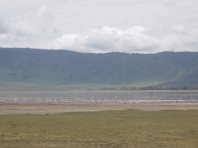 ... и розовые фламинго (кратер Нгоро-Нгоро, Танзания, фотоконкурс, земля)