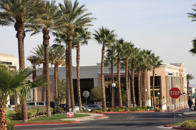 Невада - Юта - деревья...