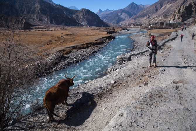 Треккинг в долине Нар-Пху + озеро Тиличо. Непал. (Горный туризм, трекккинг, горы, гималаи)