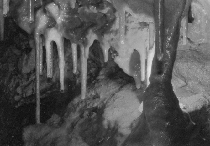 Пещера Торгашинская за 12 часов в стиле fast & light (Спелеология, красноярск)