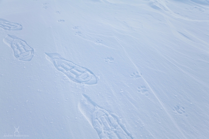 Хрустальный пик-2017. Лучший поход. Соло на лыжах по плато Путорана (Ски-тур, премия, горы, номинация, мы в обществе, лыжный туризм)