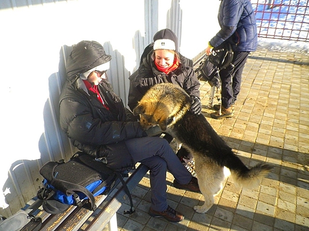 Не на коньках по льду Байкала, или о чем молчат отчеты! (Туризм, коньки, туризм, лед)