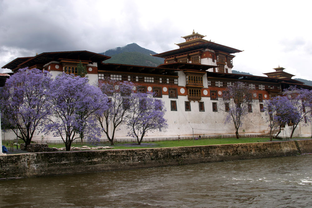 Москва бутан. Бутан. Бутан Страна дракона. Великий бутан. Бутан природа.