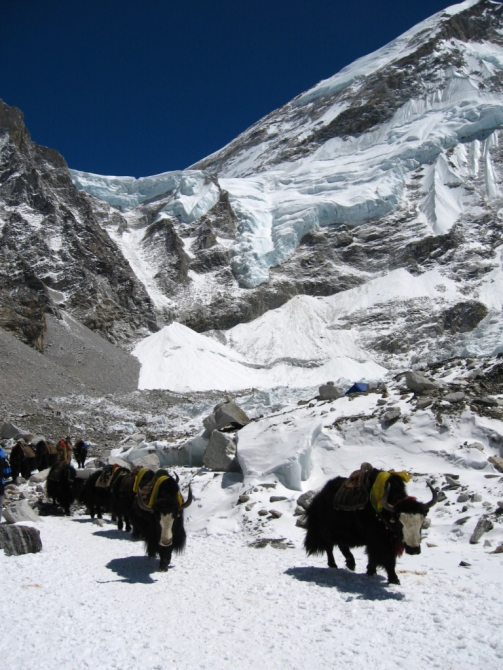 Экспедиция Эверест 2009. Мы залетели. (Альпинизм, 7 вершин, абрамов)