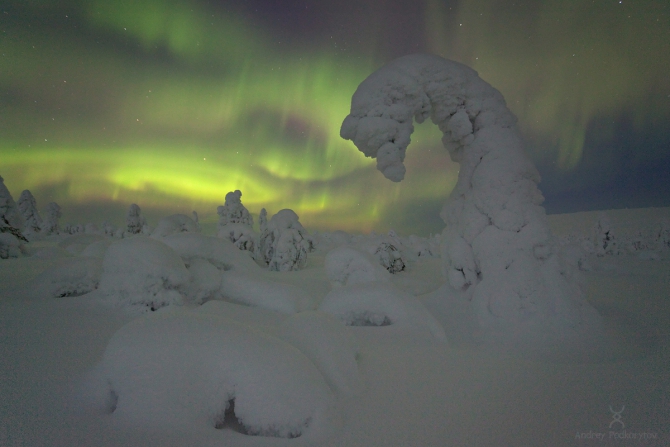 Краски севера (Путешествия, подкорытов, финляндия, северное сияние, полярное сияние, aurora, aurora borealis, borealis, finland)