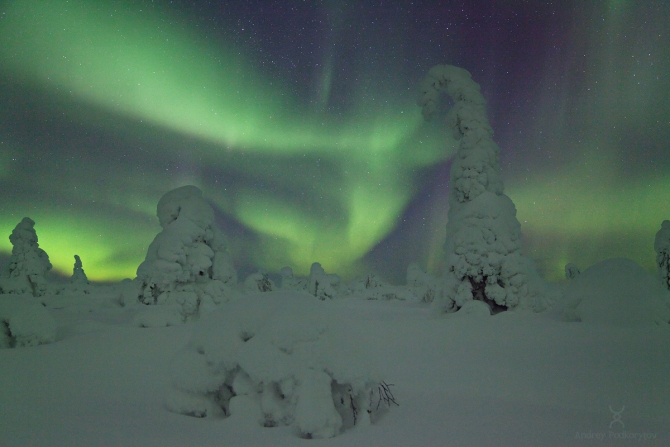 Краски севера (Путешествия, подкорытов, финляндия, северное сияние, полярное сияние, aurora, aurora borealis, borealis, finland)