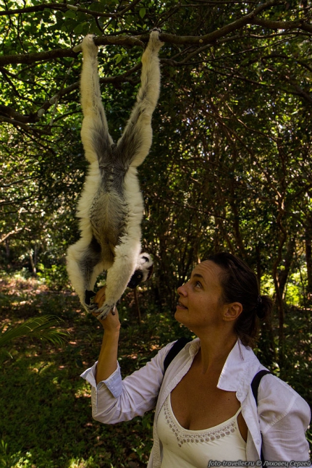 Необычный Мадагаскар (Путешествия)