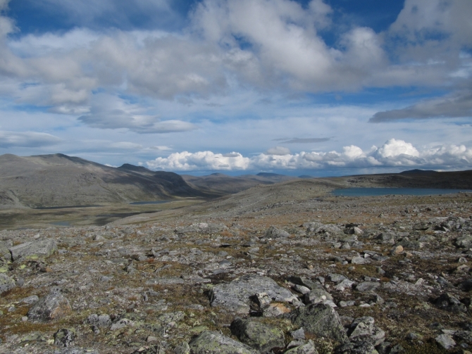 Dovrefjell: ПэВэДэшечка в краю овцебыков (Путешествия, горы Норвегии, Snøhetta)