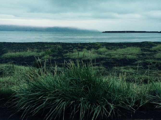 Любимые кости 66-го градуса северной широты. Husavik, Iceland (Путешествия, исландия, киты, экспедиция, research, путешествия, музей, whalebones, творчество)
