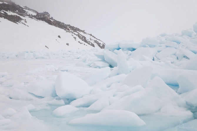 Арктическая Чукотка 2019 (Туризм, певек, шелагский, валькаркай, туманная, арктика, подкорытов, Chukotka, pevek)