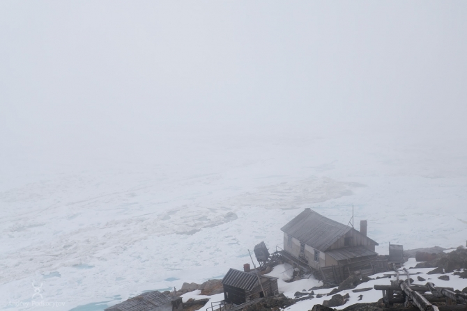 Арктическая Чукотка 2019 (Туризм, певек, шелагский, валькаркай, туманная, арктика, подкорытов, Chukotka, pevek)