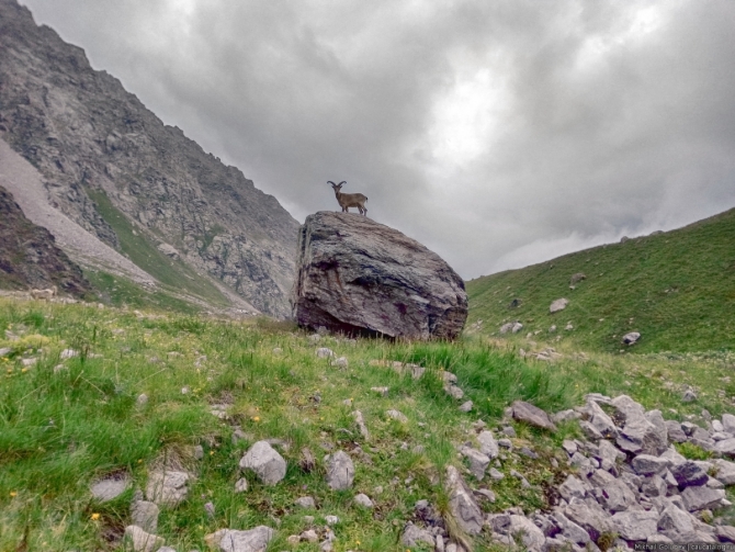 Безенги &#039;2019. Лучшие фото (Горный туризм, горы, кавказ)