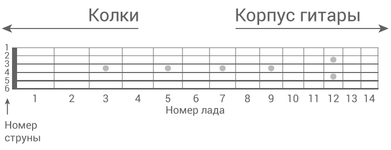 Ноты на ладах гитары. Гриф гитары 6 струн схема. Лады на 6 струнной гитаре. Лады на гитаре 6 струн. Акустическая гитара Лады схема.