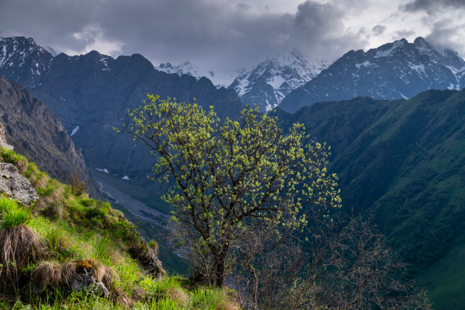 Фотоотчет по июньским горам Осетии и КБР. ЧП (часть первая). (Горный туризм)