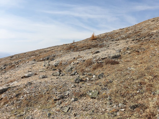 Соло-забег на Мунку-Сардык из Монголии (Скайраннинг)