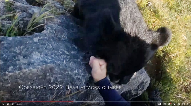 UPD2. Атакует медведь скалолаза. (Альпинизм)