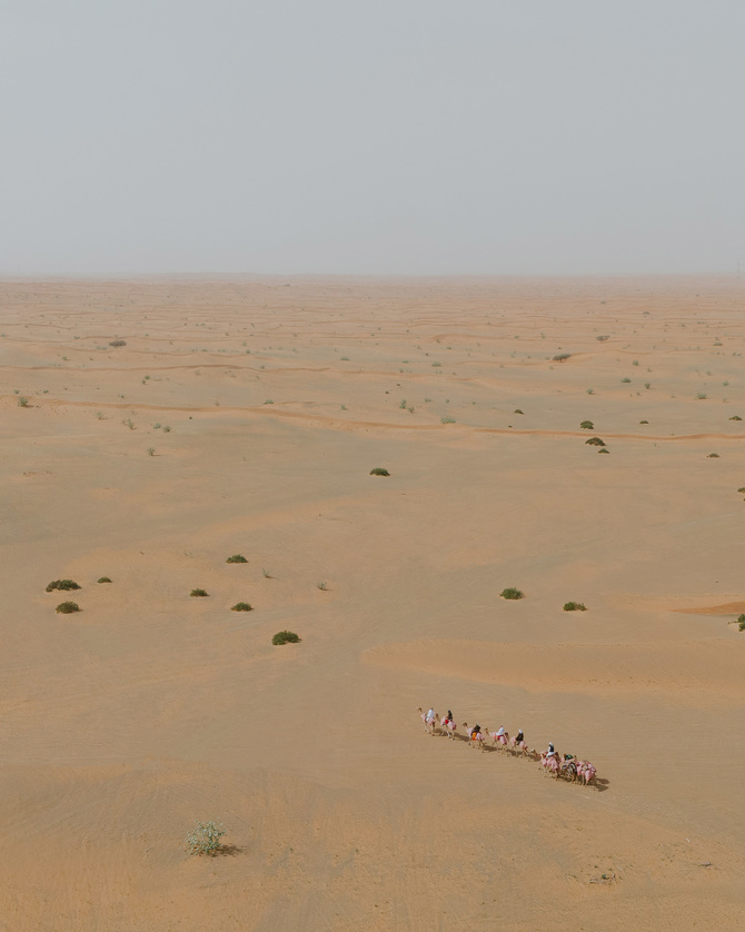 В Объединенных Арабских Эмиратах завершилась первая в истории российско-арабская экспедиция на верблюдах (Путешествия)