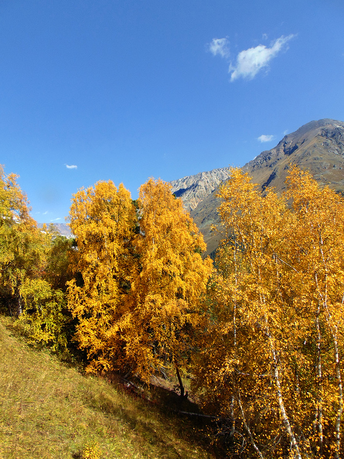 Осенний Чегет. (Путешествия)