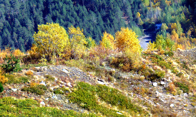 Осенний Чегет. (Путешествия)