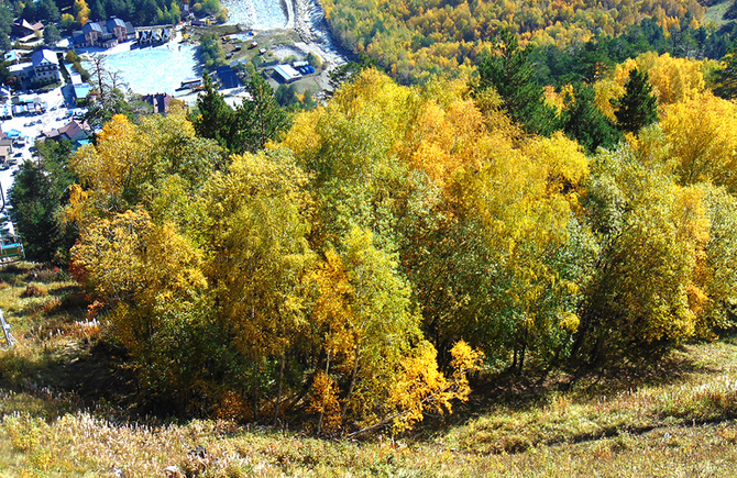 Осенний Чегет. (Путешествия)