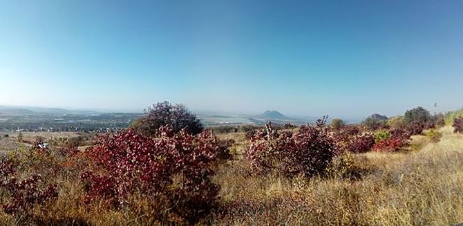 Буйство скумпии. (Путешествия)