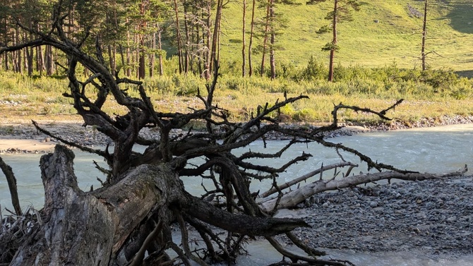 Фантастический мир скал Чегема. (Путешествия)