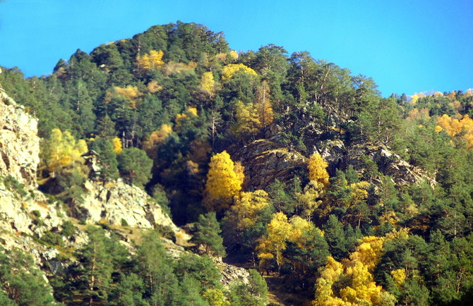 Золото Баксана. (Путешествия)